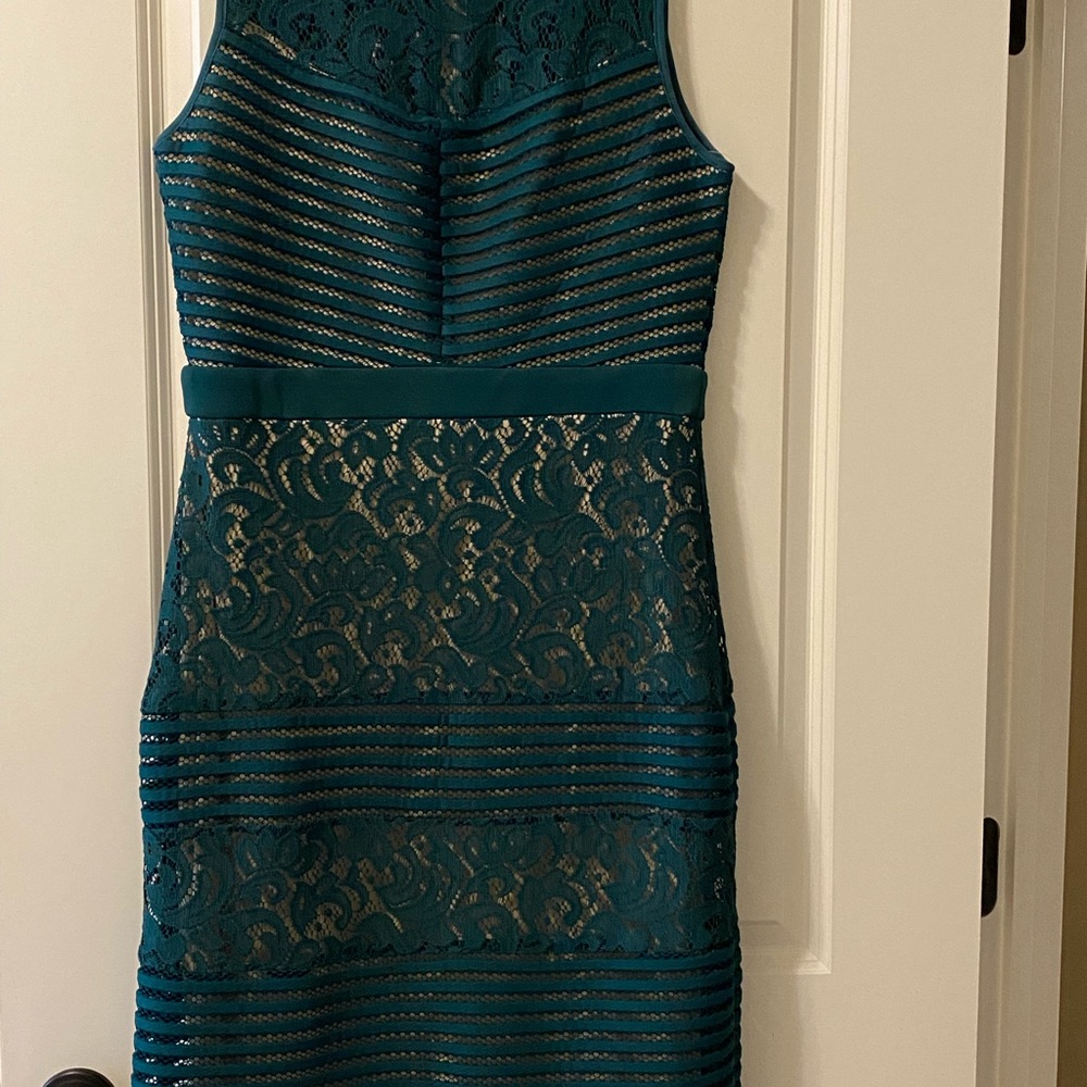Green Lace and Mesh Sleeveless Dress with nude lining. Size 12 $40.00 - Picture 2 of 4